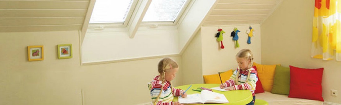 VELUX Roof Window Installers Worthing